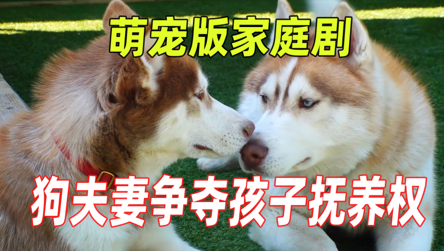 2025年正版资料免费大全u,周云杰称不想当网红,前瞻性战略落实探讨_标清版V13.64